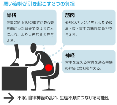 姿勢が招く神経、筋肉や内臓、背骨や骨盤のアンバランス