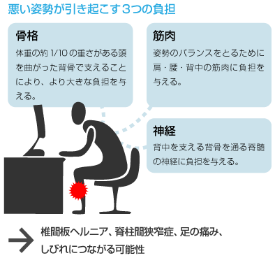 姿勢が招く神経、筋肉や内臓、背骨や骨盤のアンバランス